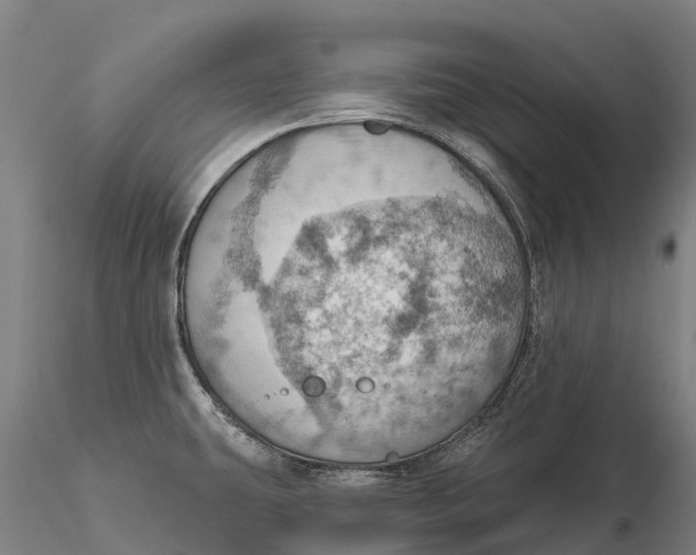 X0000115591431200912011452