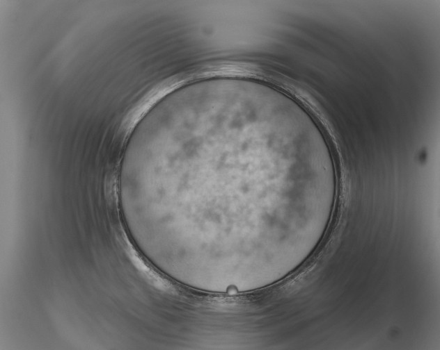 X0000115591433200912011452