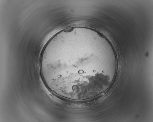 X0000115591434200912011452