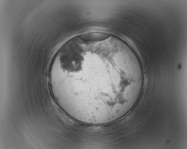 X0000115591435200912011452