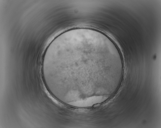 X0000115591437200912011452