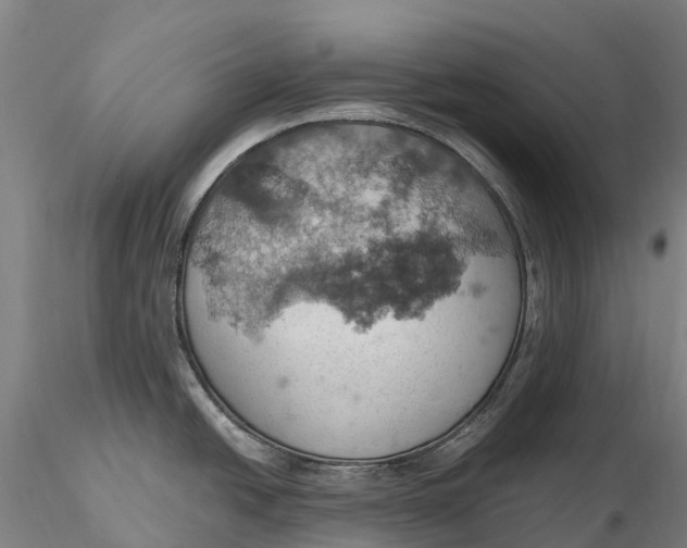 X0000115591438200912011452