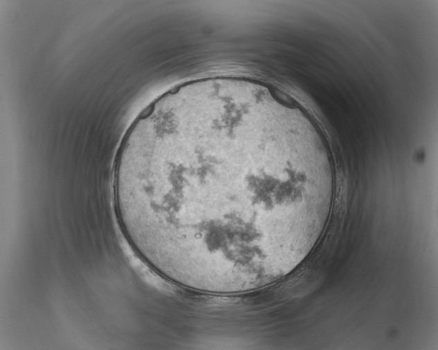 X0000115591439200912011452