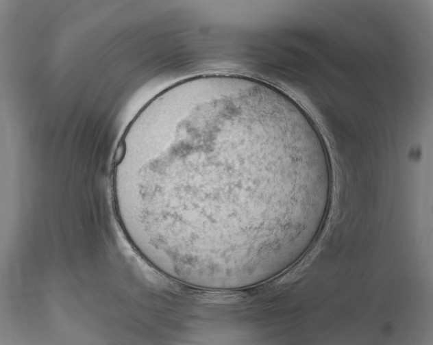 X0000115591440200912011452