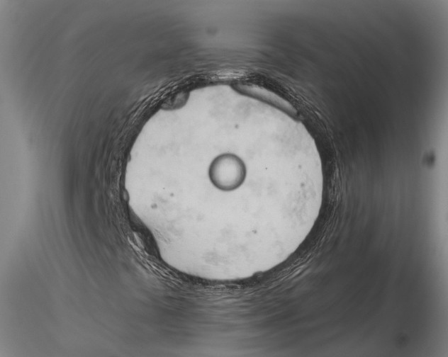 X0000115591441200912011451