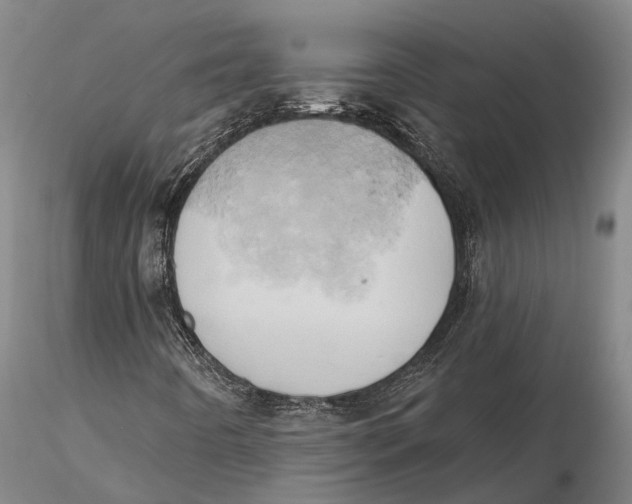 X0000115591442200912011451