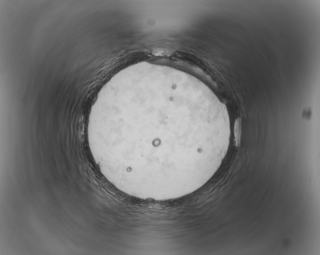 X0000115591443200912011451