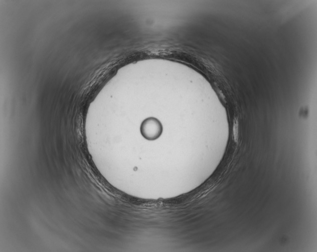 X0000115591444200912011451