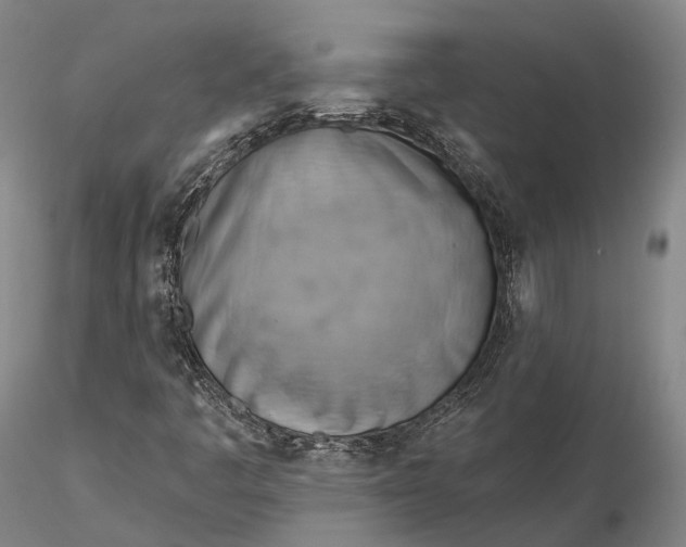 X0000115591445200912011451