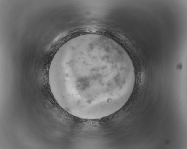 X0000115591446200912011451