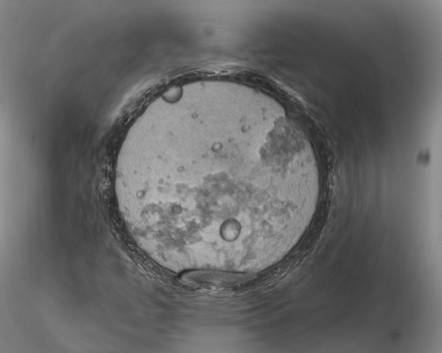 X0000115591447200912011451