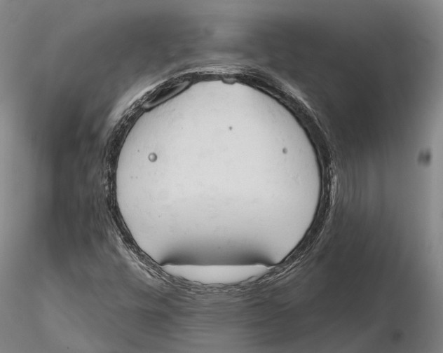 X0000115591448200912011451