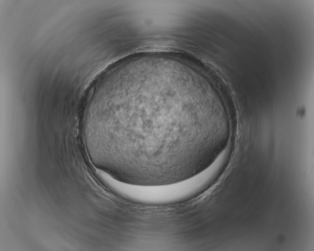 X0000115591449200912011451