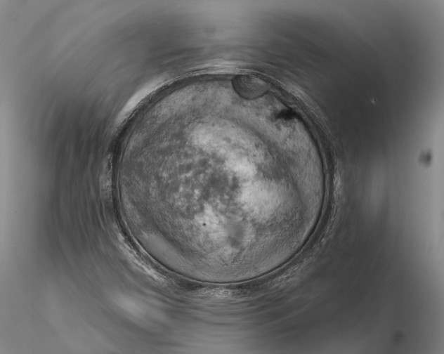 X0000115591450200912011451