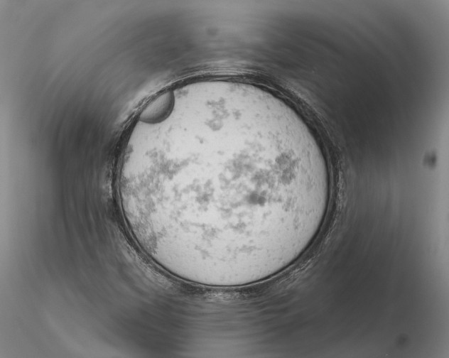 X0000115591451200912011451