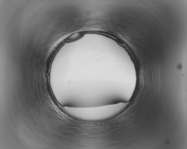 X0000115591452200912011451