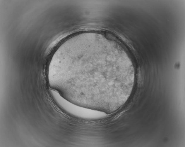 X0000115591453200912011451