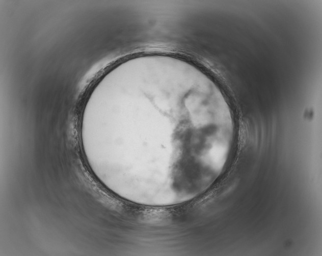X0000115591454200912011451