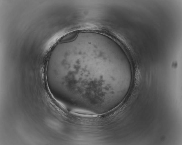 X0000115591455200912011451