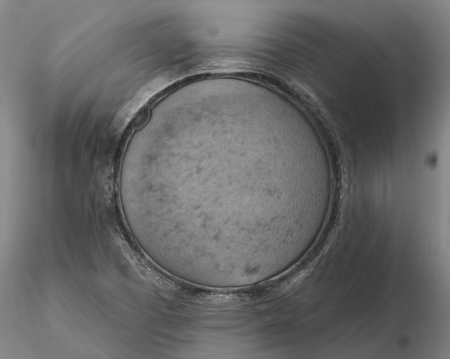 X0000115591457200912011451