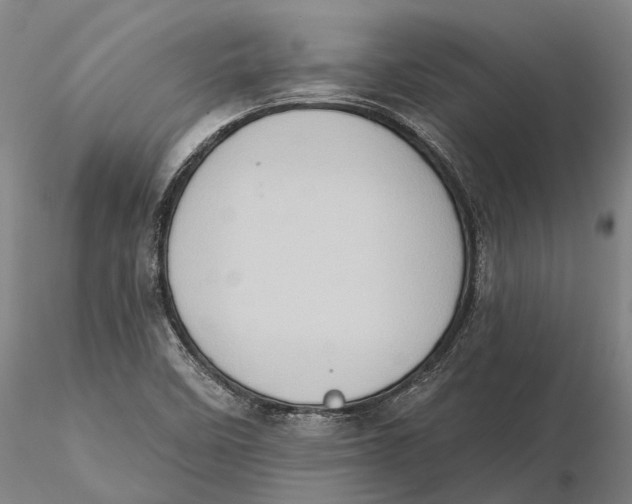 X0000115591458200912011451