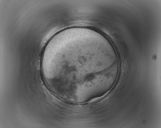 X0000115591459200912011451