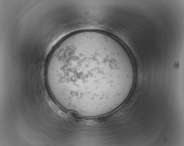 X0000115591460200912011451