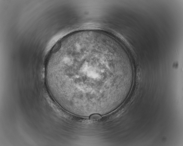 X0000115591461200912011451