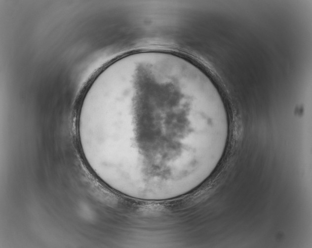X0000115591462200912011451