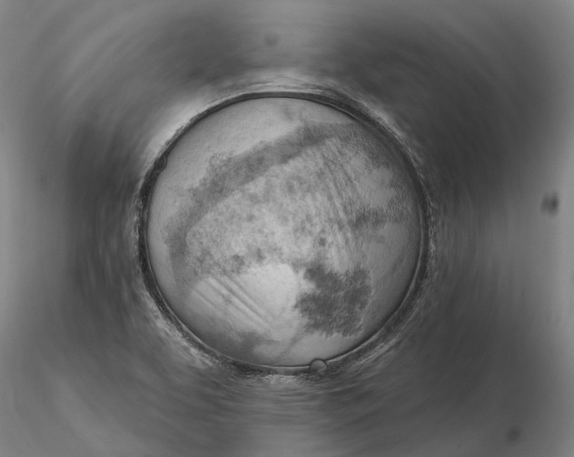X0000115591463200912011451