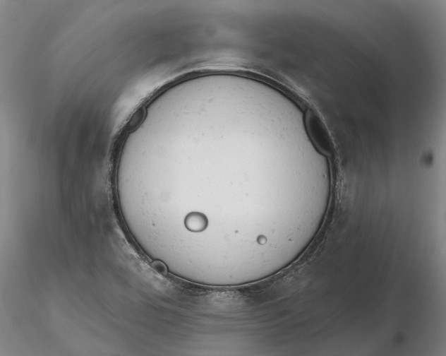 X0000115591464200912011451