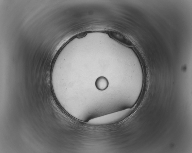 X0000115591465200912011451