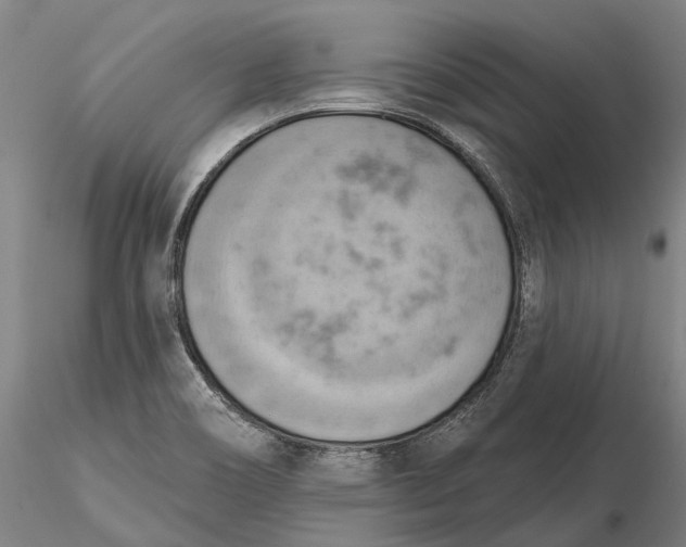 X0000115591466200912011451