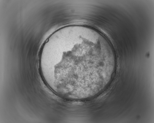 X0000115591467200912011451