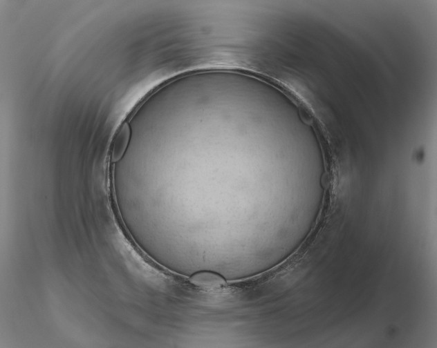 X0000115591468200912011451