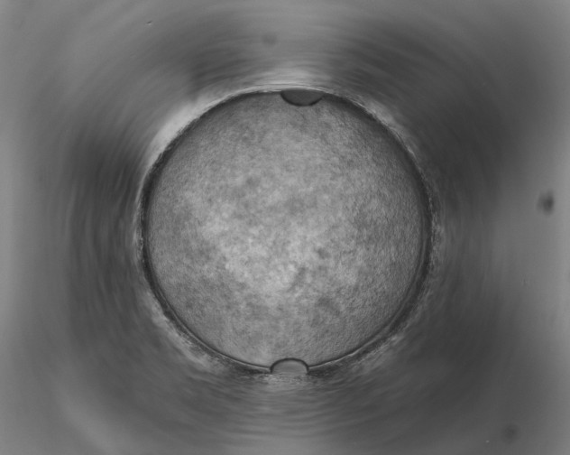 X0000115591469200912011451