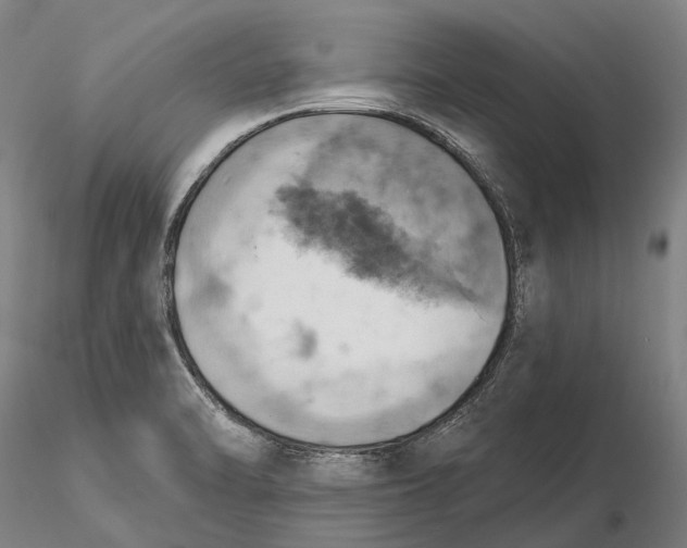 X0000115591470200912011451