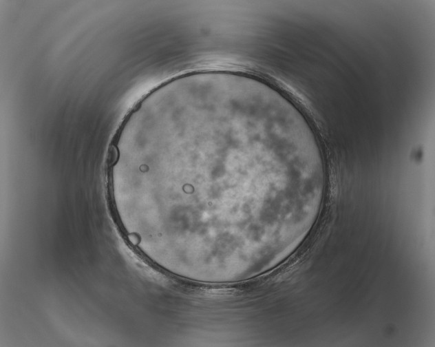 X0000115591471200912011451
