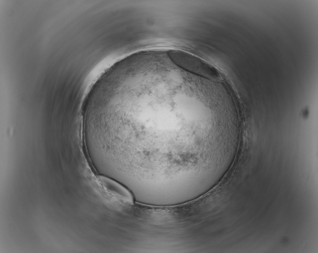X0000115591472200912011451