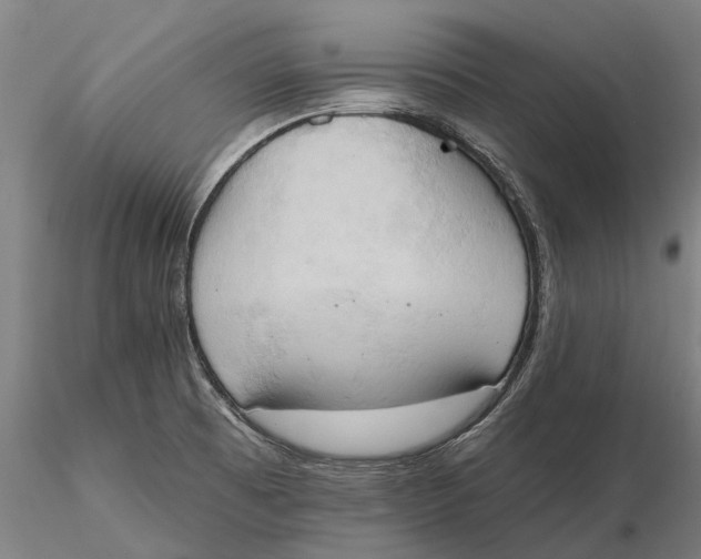 X0000115591473200912011451