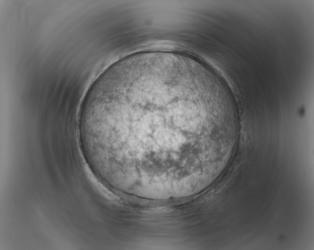 X0000115591475200912011451