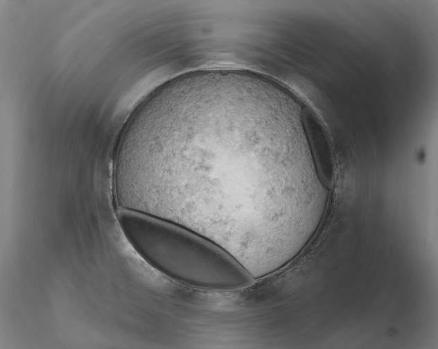 X0000115591476200912011451