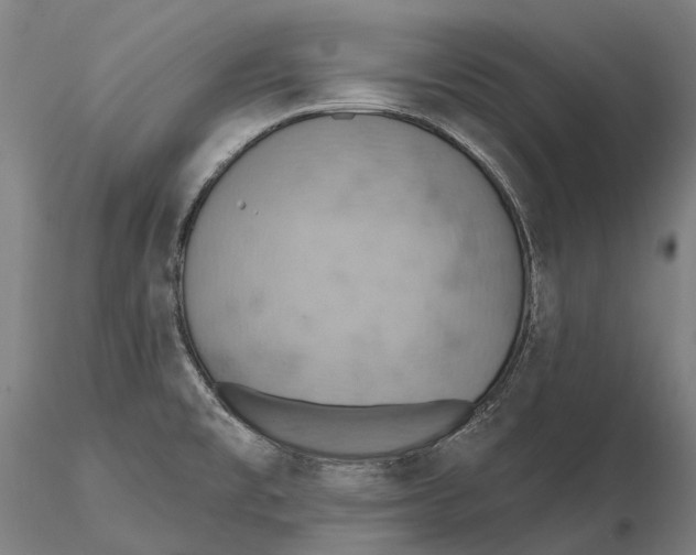 X0000115591477200912011451