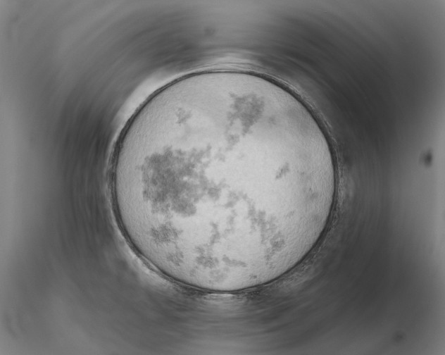 X0000115591478200912011451