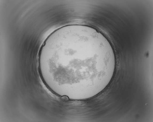 X0000115591479200912011451