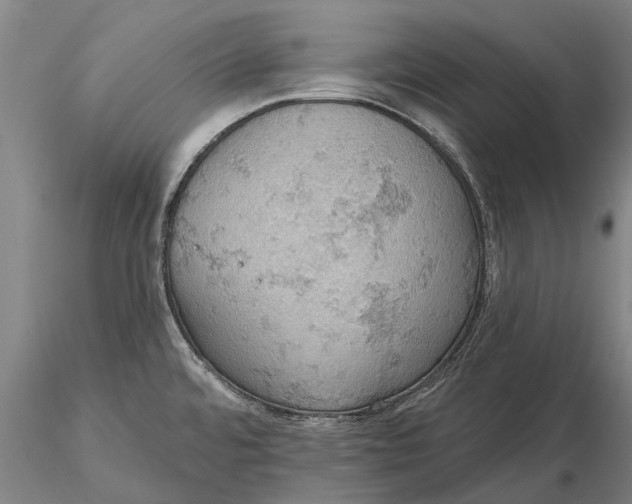 X0000115591480200912011451