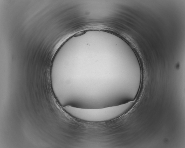 X0000115591481200912011451
