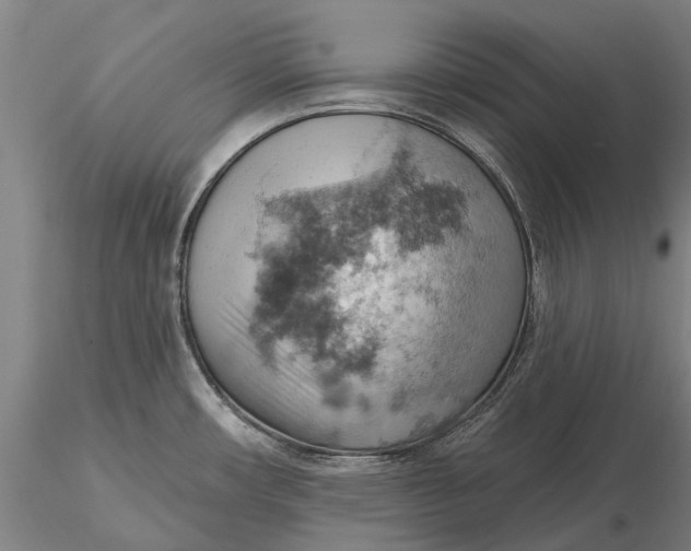 X0000115591482200912011451