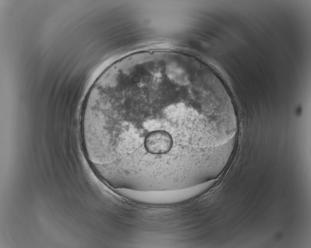 X0000115591483200912011451