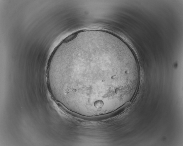 X0000115591485200912011451